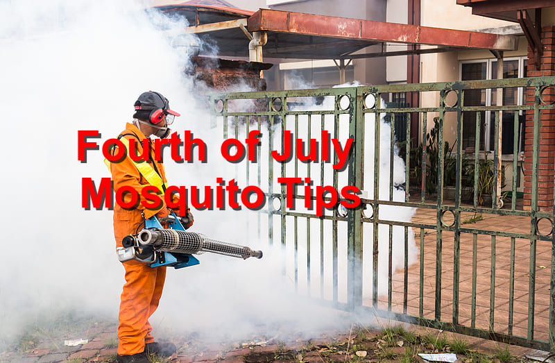 Fourth of July Mosquito Tips