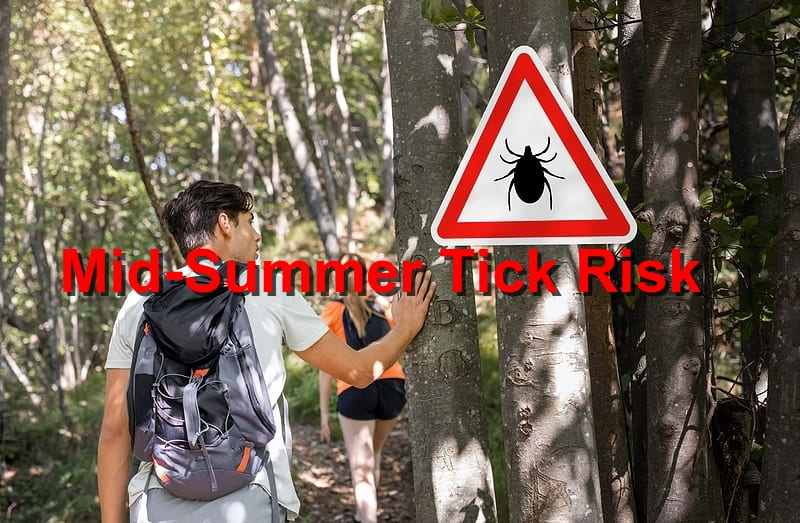 Mid-Summer Tick Risk