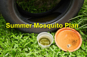 Summer Mosquito Plan