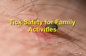 Tick Safety for Family Activities