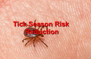 Tick Season Risk Reduction