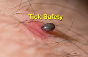 Tick safety