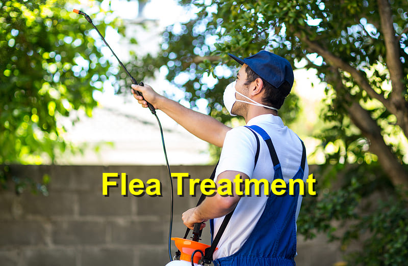 Flea treatment