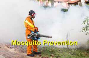 mosquito prevention