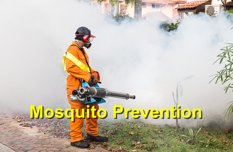 mosquito prevention